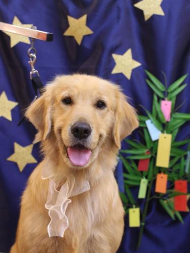 20230725アネラちゃん